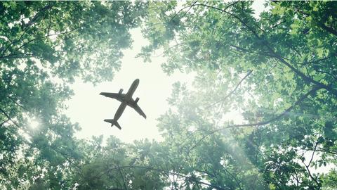 Aircraft flying over forest Aircraft flying over forest