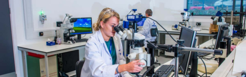 Lab 2