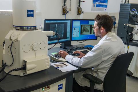Lab Services Lab Services