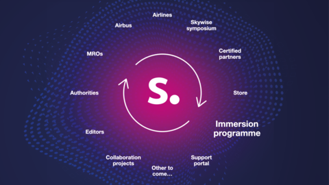 Skywise immersion programme Skywise immersion programme decorative image
