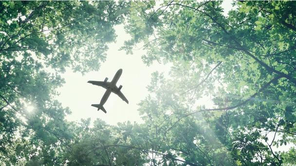 Aircraft flying over forest Aircraft flying over forest