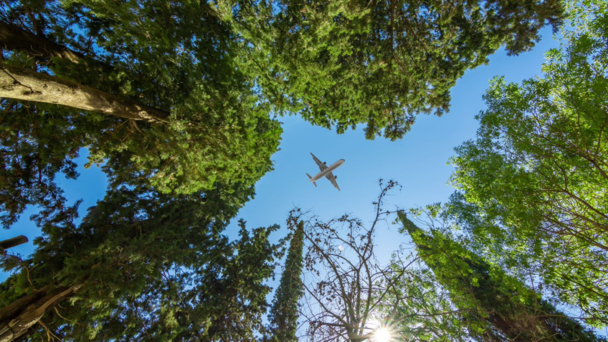 aircraft_flying_forest