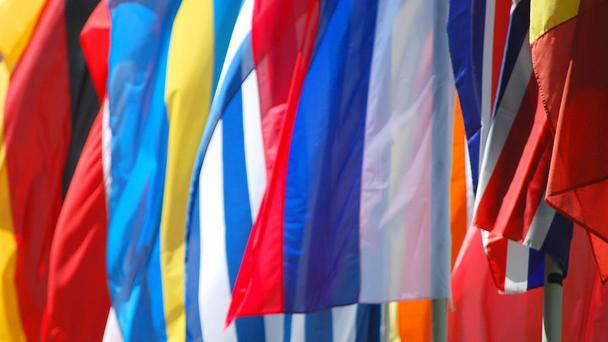 Flags Flags