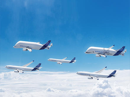 Aircraft Airbus Aircraft