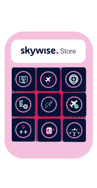Skywise Store logo Skywise Store logo