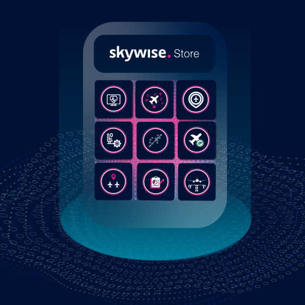 Skywise store logo