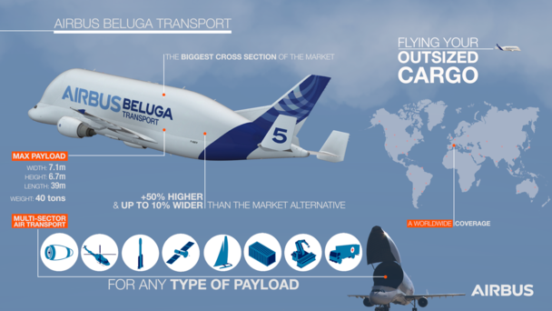 Airbus Beluga Transport infographic