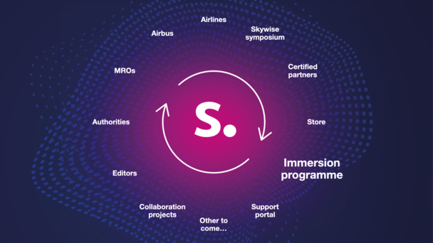 Skywise immersion programme Skywise immersion programme decorative image