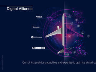 Digital Alliance infography