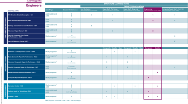 Overview of the Structure Learning paths focusing on Engineers