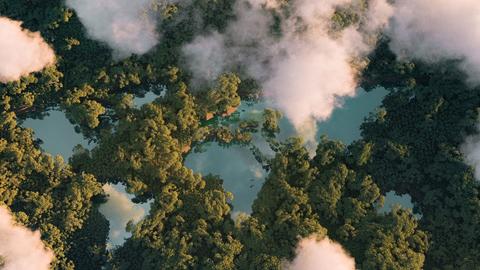 forest sustainability illustration
