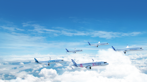 Airbus Family in flight