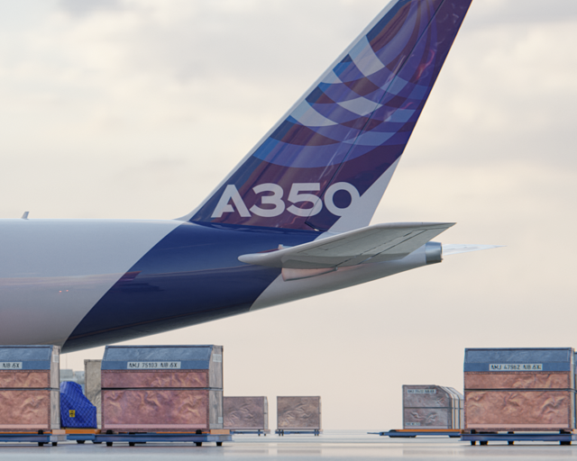 Tail of an A350F on ground Tail of an A350F on ground