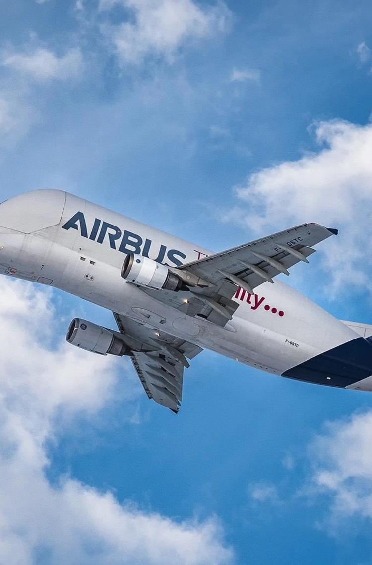 Beluga Transport in the air