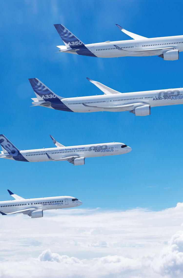 Airbus family in flight Airbus family in flight