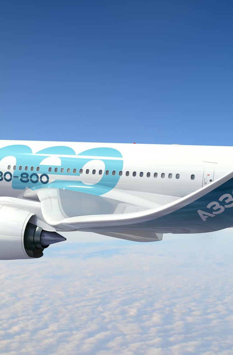 A330neo in-flight