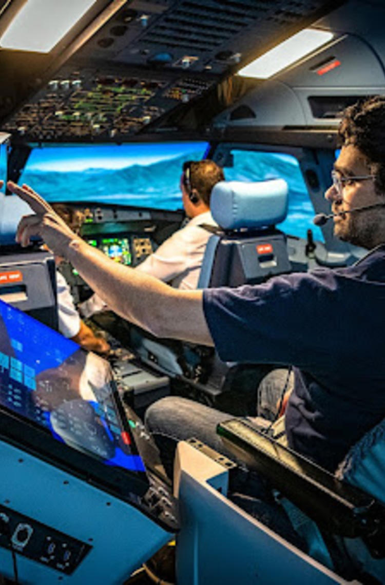 A full flight simulator training session