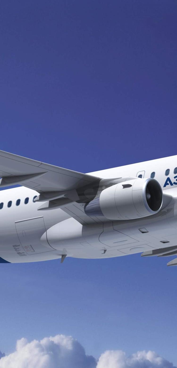 A319 in flight