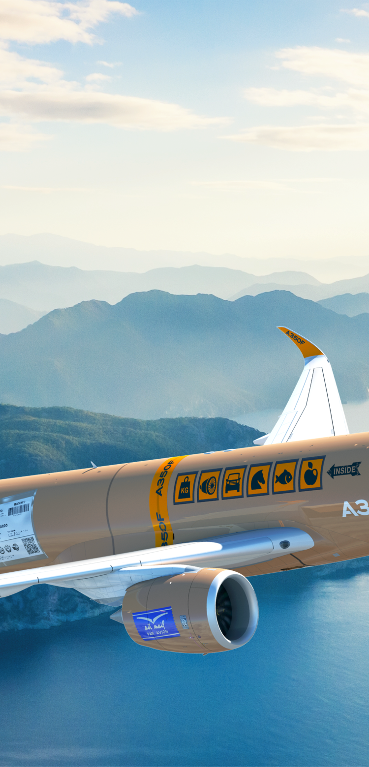 A350F in cardboard livery flying over a mountain and water landscape