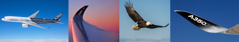 Biomimicry wing design Biomimicry or biologically inspired engineering is providing engineers with invaluable insight on how to design lighter and more fuel-efficient aircraft.